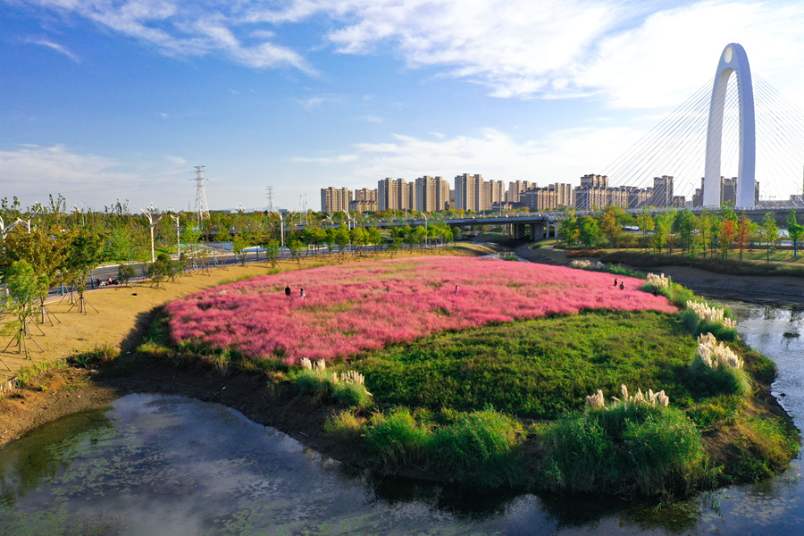 城市公園秋景如畫。杜森攝