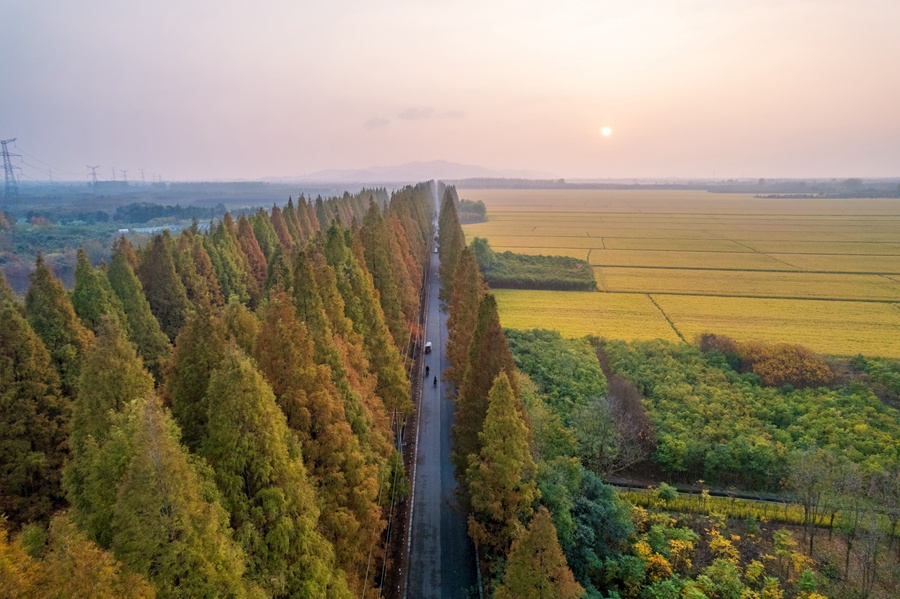 浦口零號(hào)公路。南京市浦口區(qū)文旅局供圖