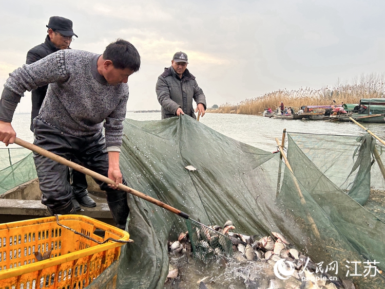 水產(chǎn)村漁民捕魚。人民網(wǎng) 王丹丹攝