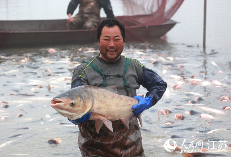 漁民撈起一條大魚。史道智攝