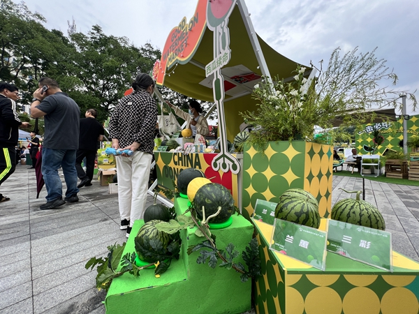 圖為在南藝后街進(jìn)行展示售賣(mài)的東臺(tái)精品西瓜。曈暚 攝