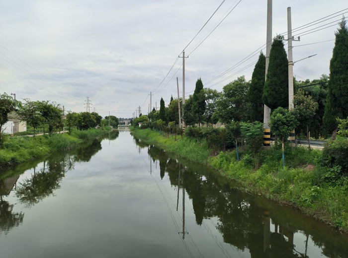 靖江市東興鎮(zhèn)上五圩的河道已清理完畢。 宣燕攝