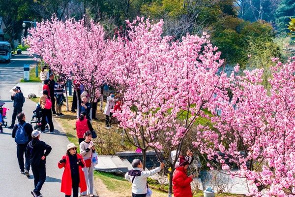 南京玄武湖地區(qū)“環(huán)湖春媚·舞心節(jié)”活動開幕