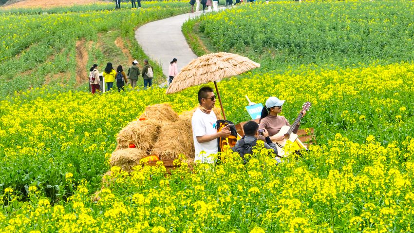 游客在油菜花叢中彈起吉他。高淳區(qū)融媒體中心供圖