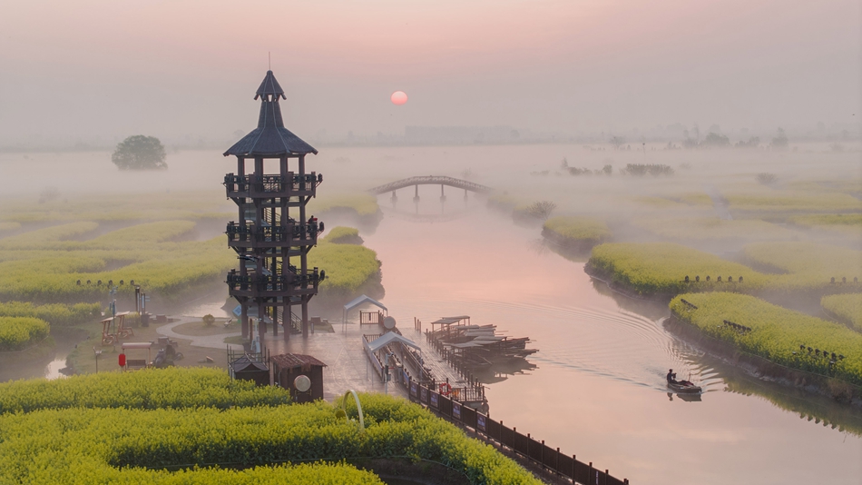 千垛菜花景區(qū)霧景。周社根攝