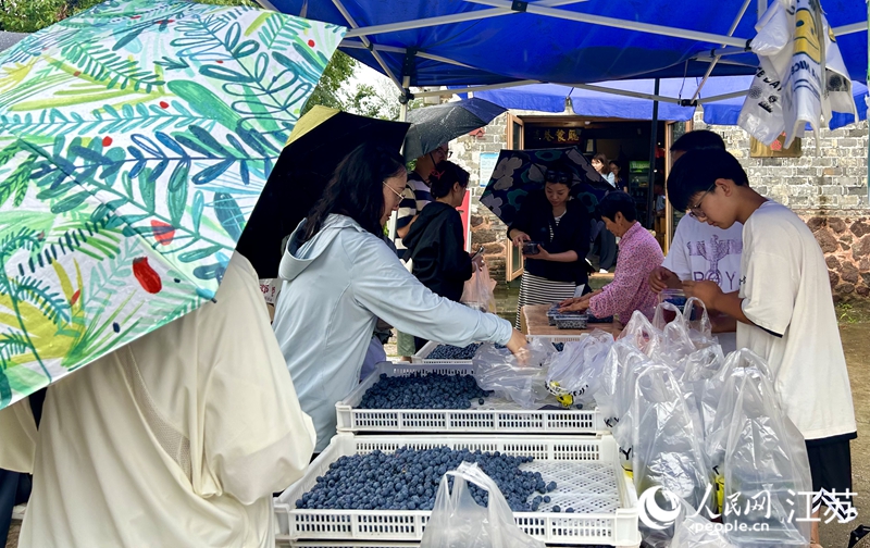 游客在李巷村購買藍莓。人民網(wǎng) 王丹丹攝