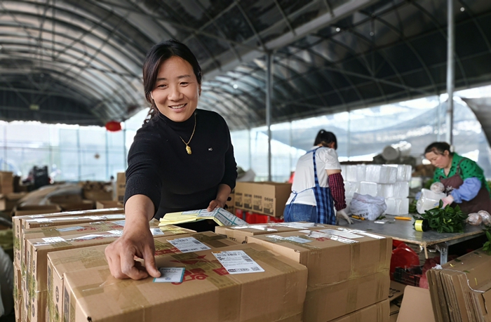 新河鎮(zhèn)堰頭村月季花基地花木電商為每份快遞貼上誠信標(biāo)簽。丁華明攝