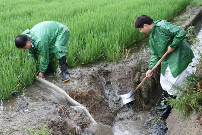 突擊隊員協(xié)助村民排出農(nóng)田積水。趙忠攝