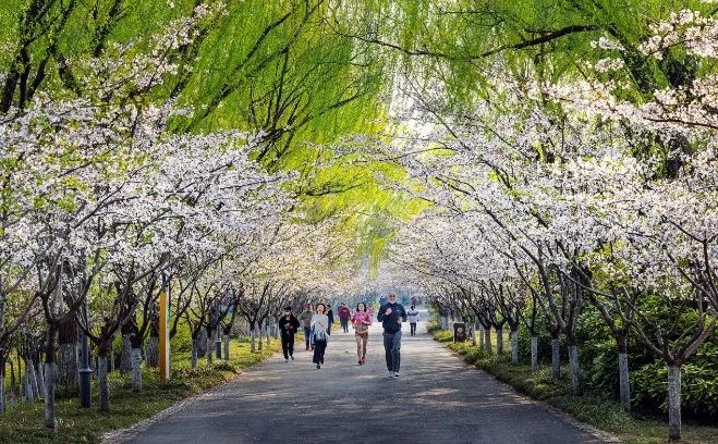 淮安缽池山公園綠道