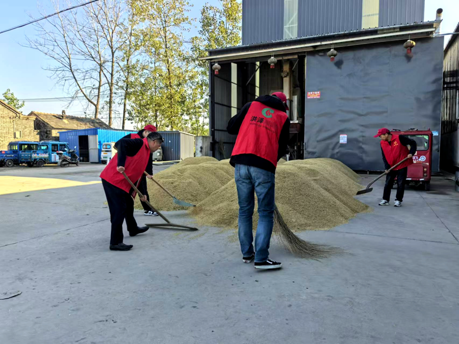 志愿者在烘干中心幫助裝卸稻谷。孫靜攝