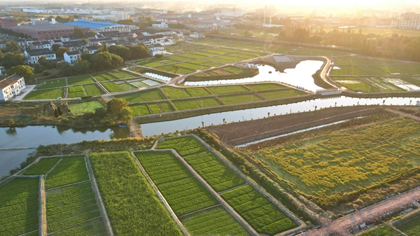 江陰市月城鎮(zhèn)戴莊村村景。無(wú)錫組織部供圖